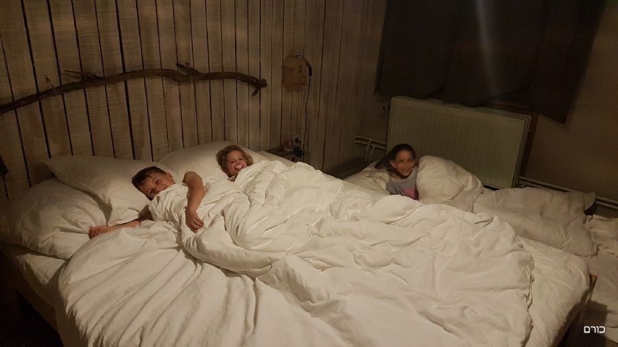 וולניה וחבל הארדנים